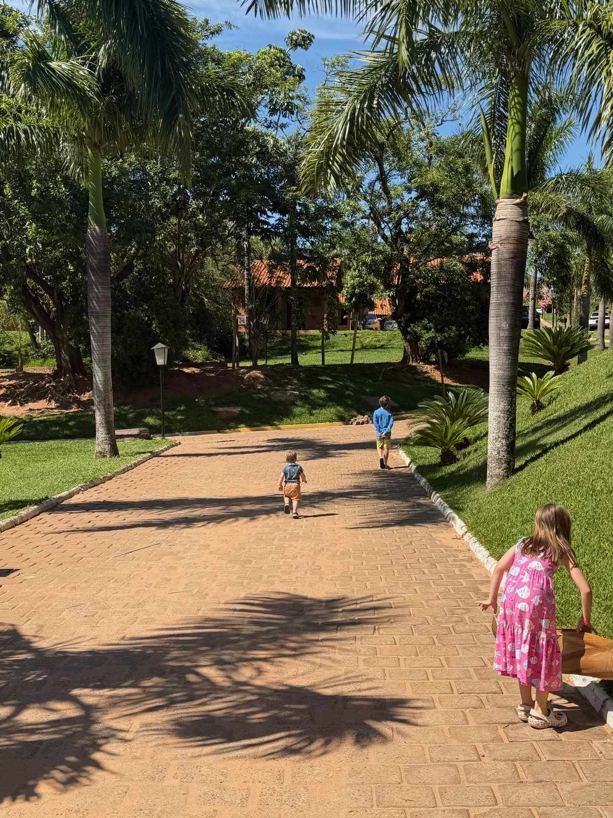 Three children walking away together down a path on an outing.